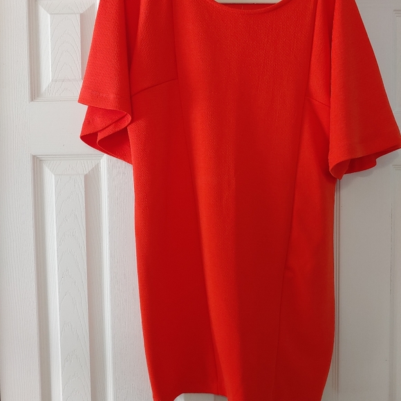 Dress - Picture 3 of 5